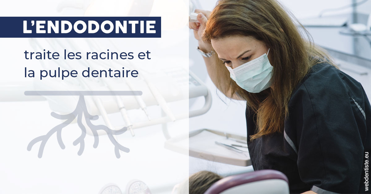 https://dr-salles-eric.chirurgiens-dentistes.fr/L'endodontie 1