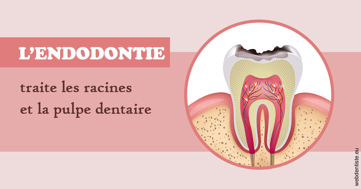 https://dr-salles-eric.chirurgiens-dentistes.fr/L'endodontie 2