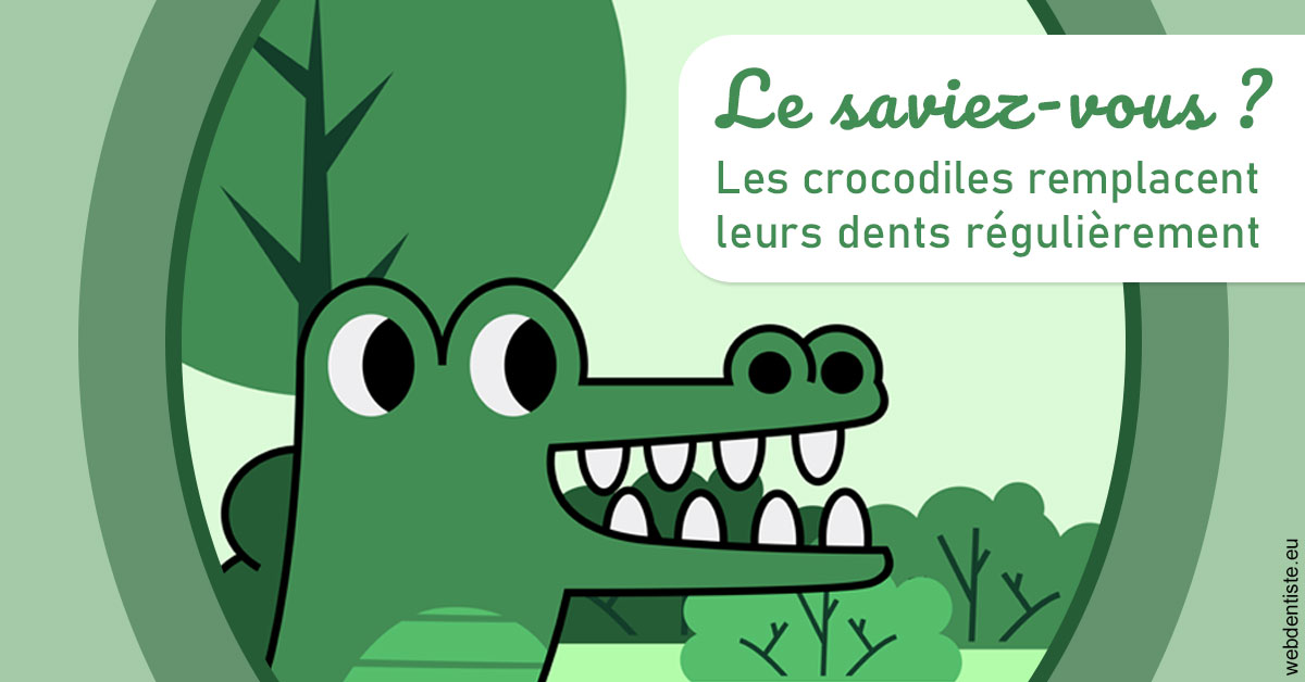 https://dr-salles-eric.chirurgiens-dentistes.fr/Crocodiles 2